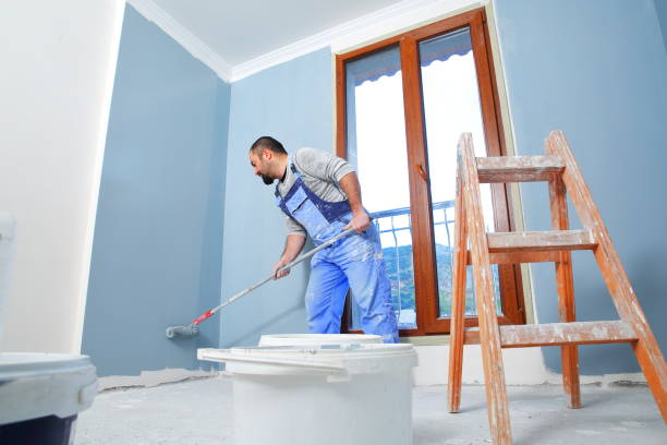 Professional Mold Removal in Bridgeport, WV